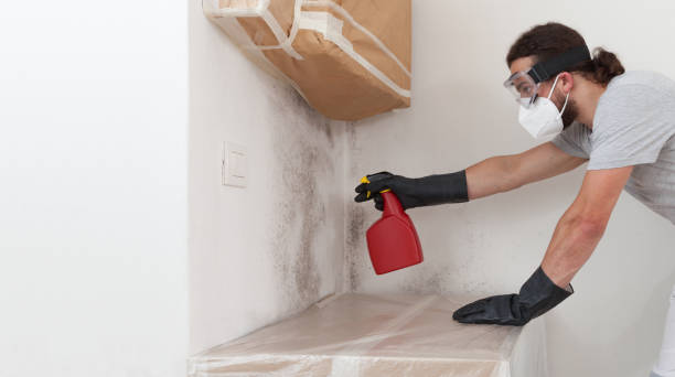 Professional Attic Mold Remediation technician working in Saxapahaw, NC