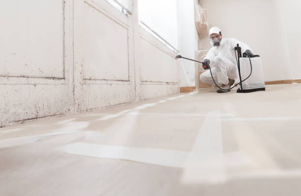 24/7 Emergency Attic Mold Remediation experts in Saxapahaw, NC