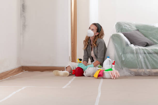 Reliable Attic Mold Remediation contractor in Saxapahaw, NC by 24 Hour Mold Removal
